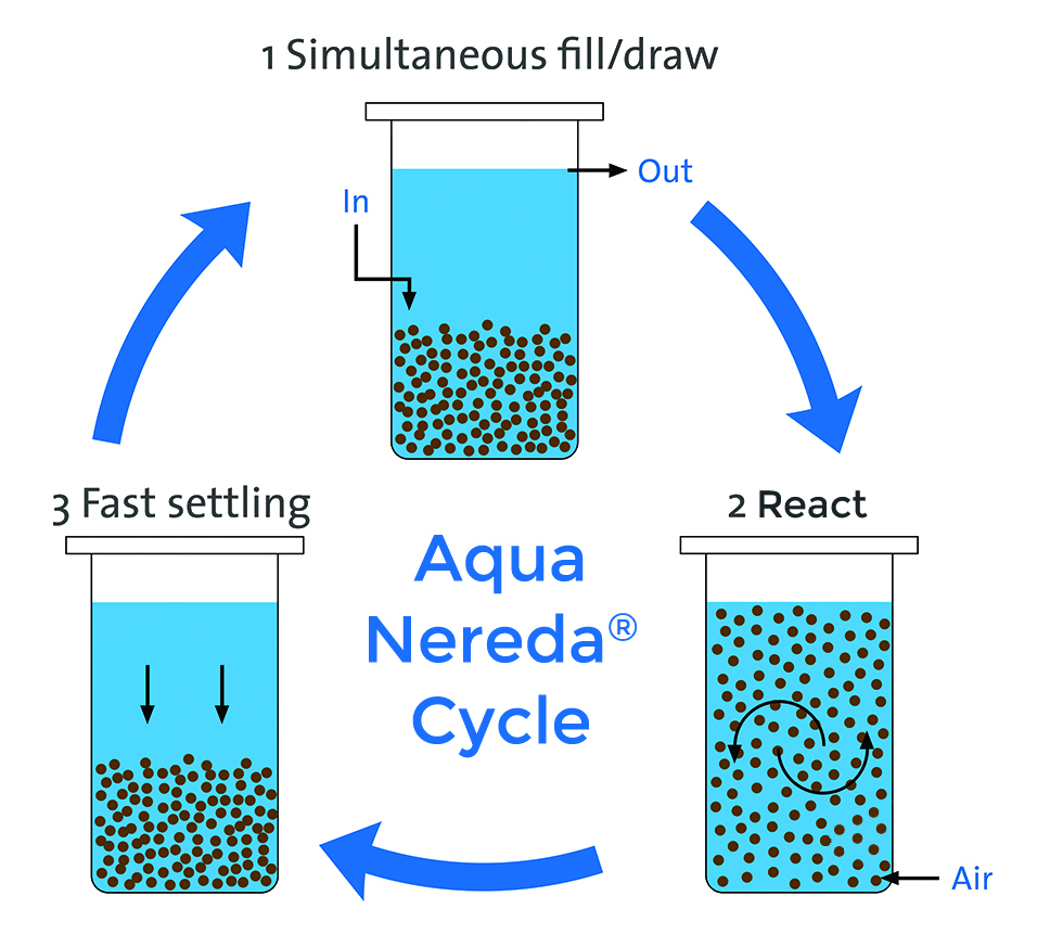 General nereda cycle revised no granule 241119 112958