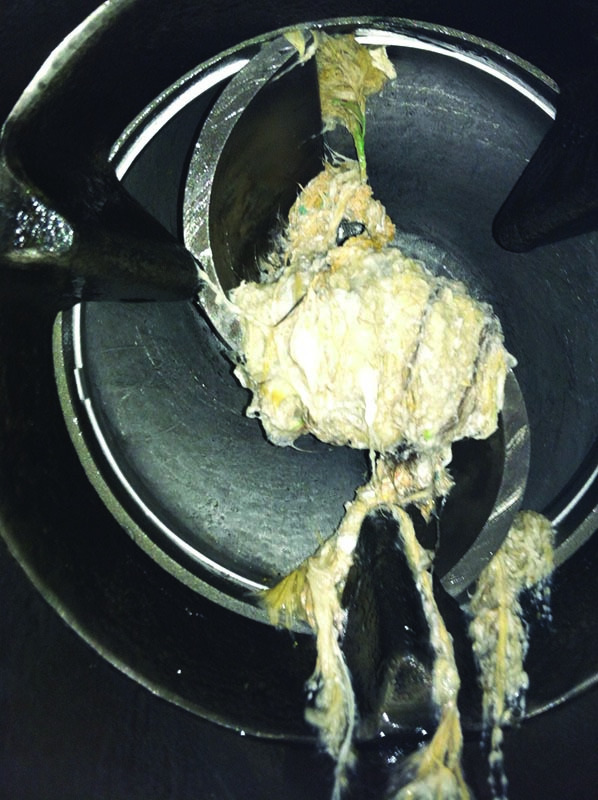 Cornell Centrifugal Pumps Solve Ragging… | Treatment Plant Operator