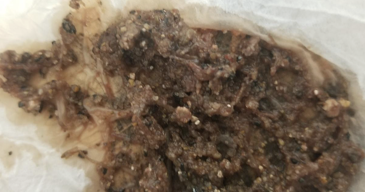Bug of the Month: Tubifex Worms Are a… | Treatment Plant Operator