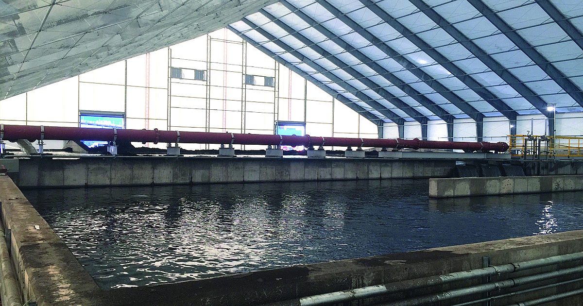 Product Focus: Structures and Components;… | Treatment Plant Operator