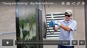 O0414 Big Bear 180119 131932