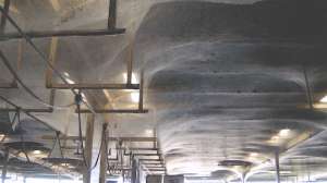 Baltimore wastewater plant spider web 180119 140656