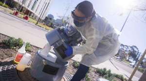 Nsf Covid Sampling