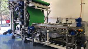 3 DP article ogden1