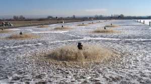 Aqua Jet Aerator Brochure