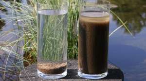 Article Technology Deep Dive