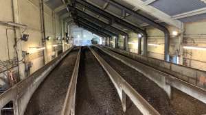 Compost article bennington2