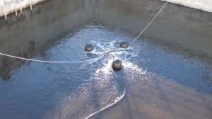 Cstudy WW GN LOC679 000