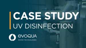 EWT IMG Case Study 1280x960