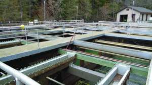 Grass Valley CA 051 21