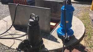 High Res Sutton Picture2