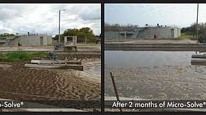 Hondo TPO Case Study