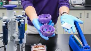 Lsu Wastewater Testing