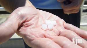 TPO1118 Broomfield CO