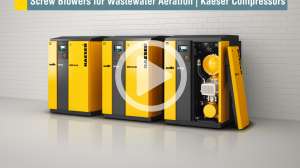 Video Thumbnail screw blowers
