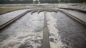 Aeration tank activated sludge