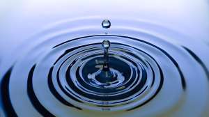 Clean water movement