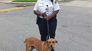 Duck Dynasty Richmond Water Treatment Plant 2 W300