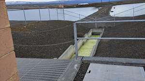 Enbioganic technologies case study