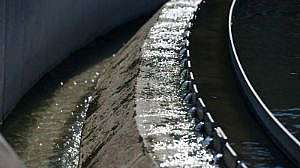 Fairhaven Clarifier W300