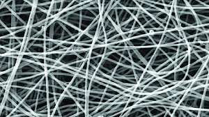 Pedot Nanofiber