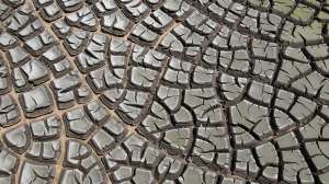Sewage drying