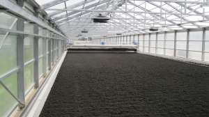 Solar dryer 180119 134120