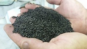 Leesburg Biosolids 1 W300