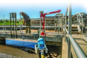 025 Carlscofield Salida Co