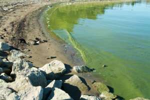 10618937small 180122 101834