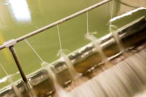 20170131 EWS 2987 180119 134150