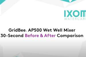 Video Grid Bee AP500 beforeafter