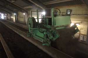 Video compost system