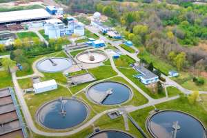 Video effective screw blowers