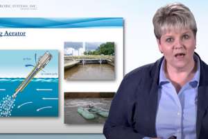 Screenshot 2023 11 28 at 2 41 10 PM