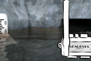 Video monitoring screenshot