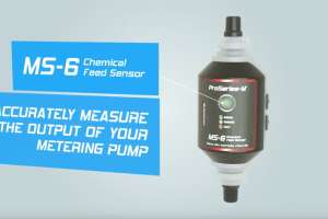 Video image MS6 feed sensor