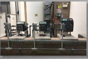 Video Pro Series M screenshot