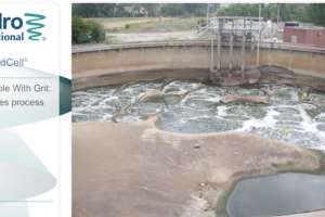 Vid Head Cell grit separation