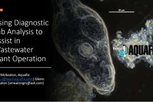 Screen Shot 2020 10 07 at 3 04 23 PM