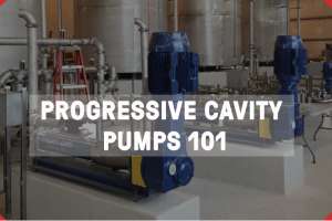 Screen Shot 2020 08 26 at 9 38 24 AM