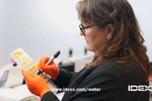 TPO1018 Ann Arbor IDEXX