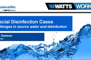 Screen Shot 2023 12 06 at 11 50 27 AM