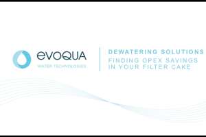 Screen Shot 2021 06 09 at 11 55 33 AM