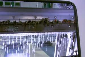 O0217 Huber Rake Max SC 180119 132049