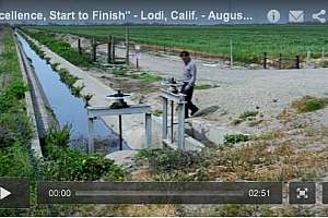 O0813 Lodi 180119 131927