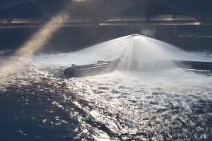 THM Removal when flushing isnt an option