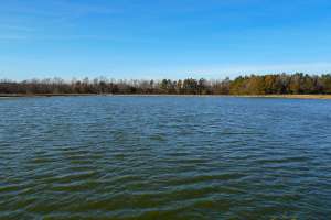 False High BOD 2023 04