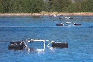 WP Controlling Odor 2023 04