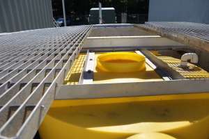 Shiloh grit king for smaller plants